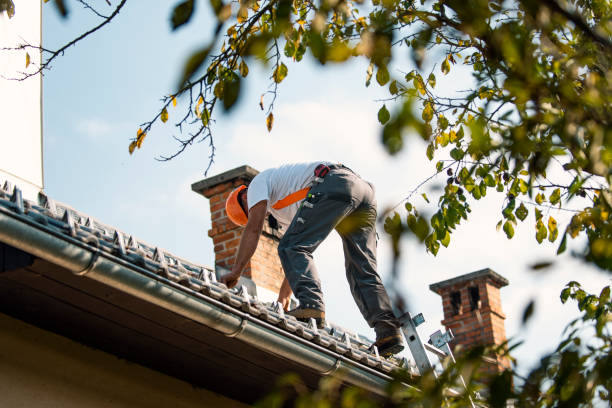 Best Roof Restoration Services  in Burnham, PA